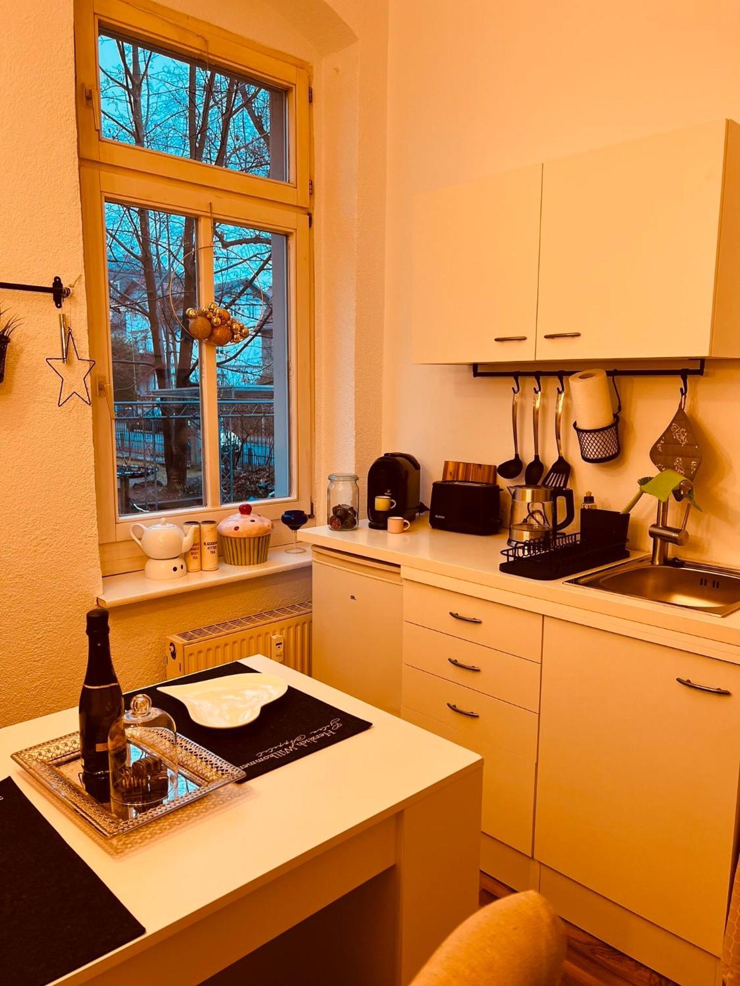 Charmante Ferienwohnung In Dresden Striesen - Frau Pie Appartement Экстерьер фото